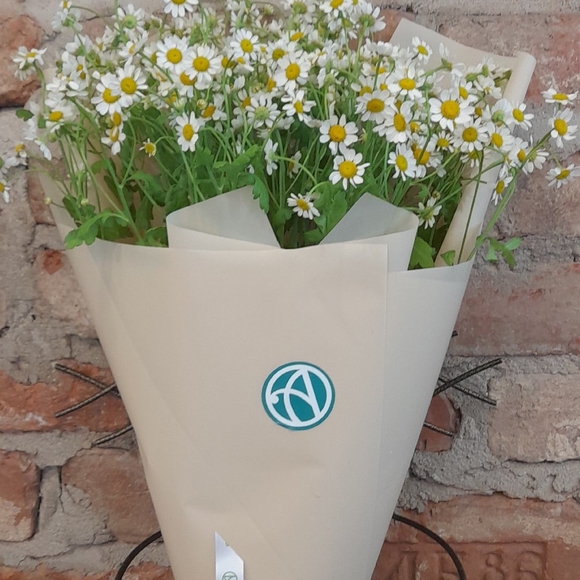 Букет из 9 кустовых ромашек (матрикарий)