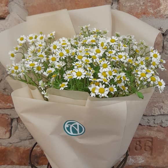 Букет из 9 кустовых ромашек (матрикарий)