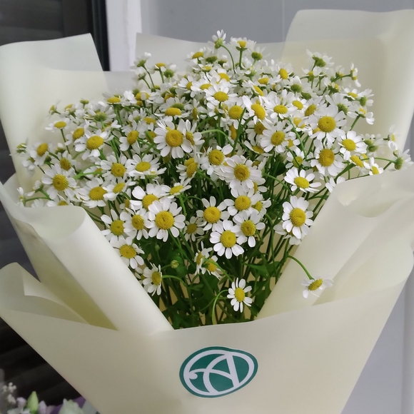 Букет из 9 кустовых ромашек (матрикарий)