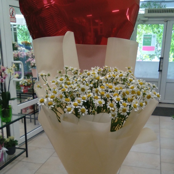 Букет из 9 кустовых ромашек (матрикарий)