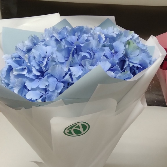 Букет из 1 голубой гортензии