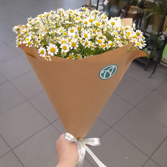 Букет из 9 кустовых ромашек (матрикарий)