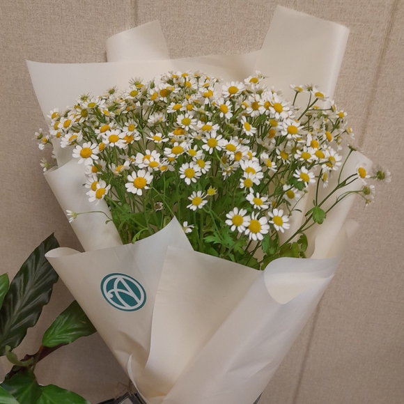 Букет из 9 кустовых ромашек (матрикарий)