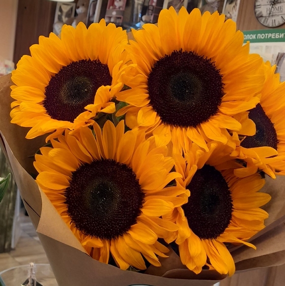 Букет из 5 подсолнухов