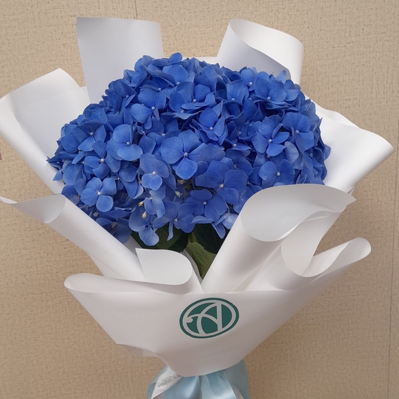 Букет из 1 голубой гортензии