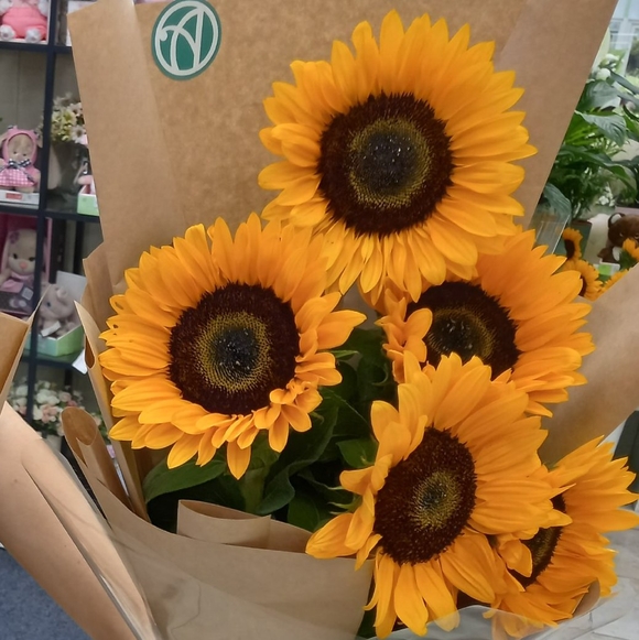 Букет из 5 подсолнухов