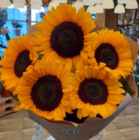 Букет из 5 подсолнухов