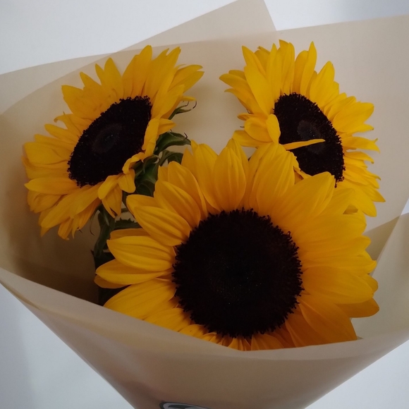 Букет из 3 подсолнухов