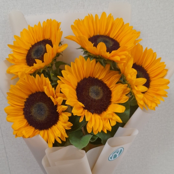 Букет из 5 подсолнухов