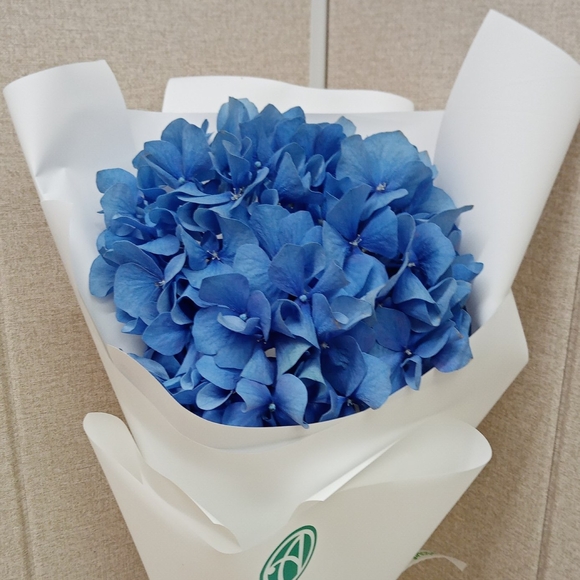 Букет из 1 голубой гортензии
