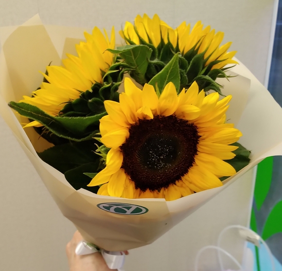 Букет из 3 подсолнухов