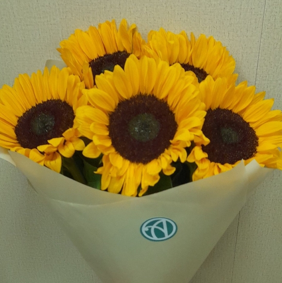 Букет из 5 подсолнухов