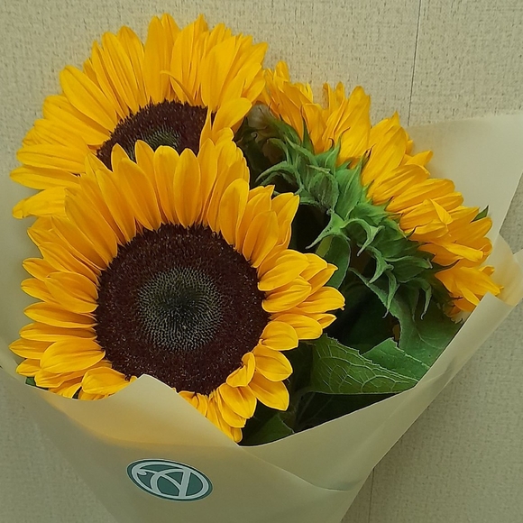 Букет из 3 подсолнухов