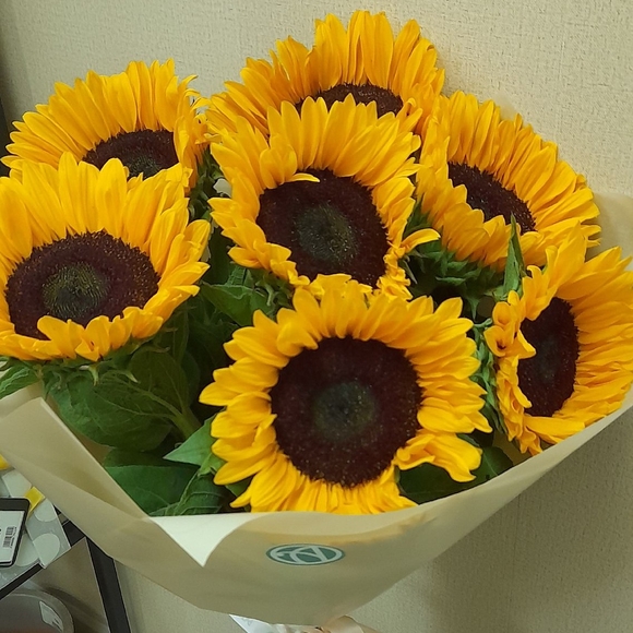 Букет из 7 подсолнухов