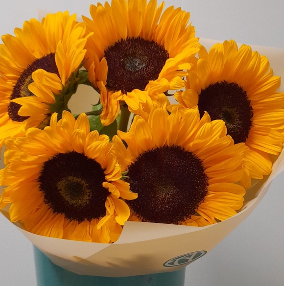 Букет из 5 подсолнухов