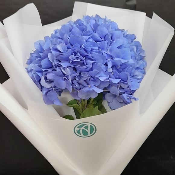 Букет из 1 голубой гортензии