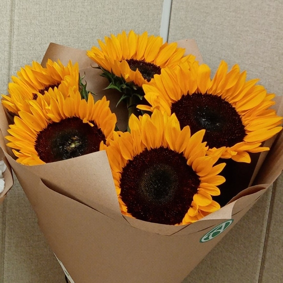 Букет из 5 подсолнухов