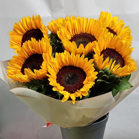 Букет из 7 подсолнухов