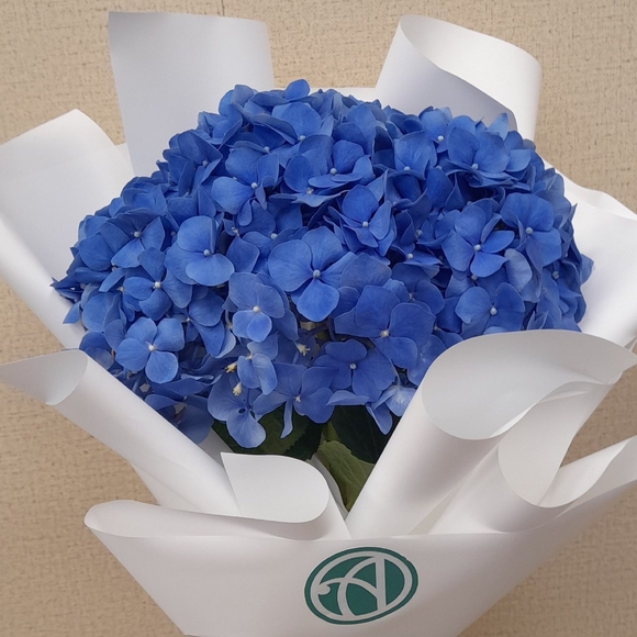 Букет из 1 голубой гортензии