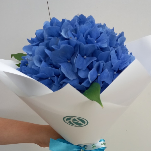 Букет из 1 голубой гортензии