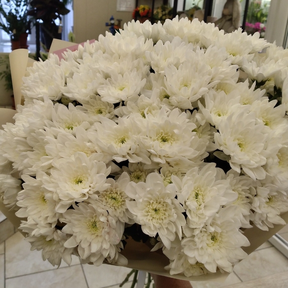 Букет из 9 белых кустовых хризантем