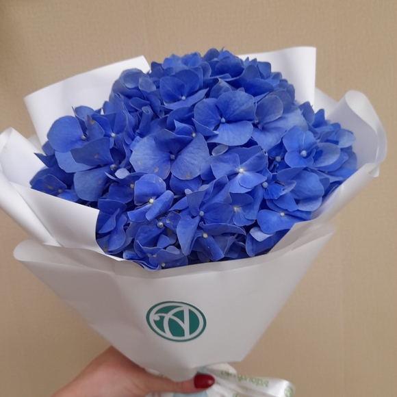 Букет из 1 голубой гортензии