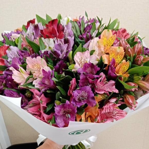 Букет из 25 альстромерий микс