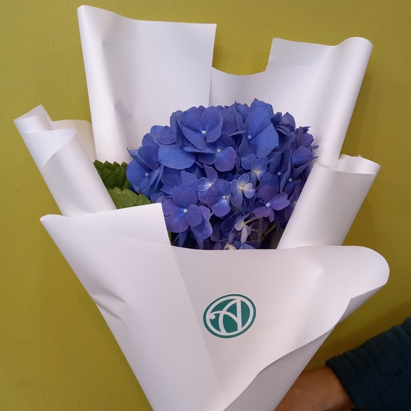 Букет из 1 голубой гортензии