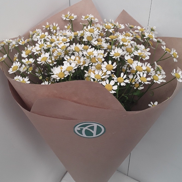 Букет из 9 кустовых ромашек (матрикарий)