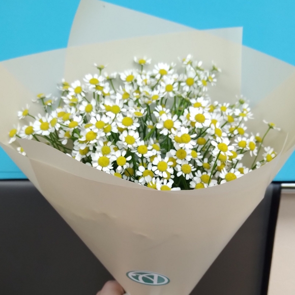 Букет из 9 кустовых ромашек (матрикарий)