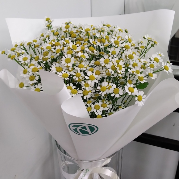 Букет из 9 кустовых ромашек (матрикарий)