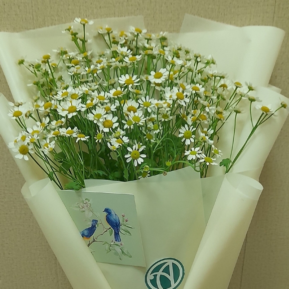 Букет из 9 кустовых ромашек (матрикарий)