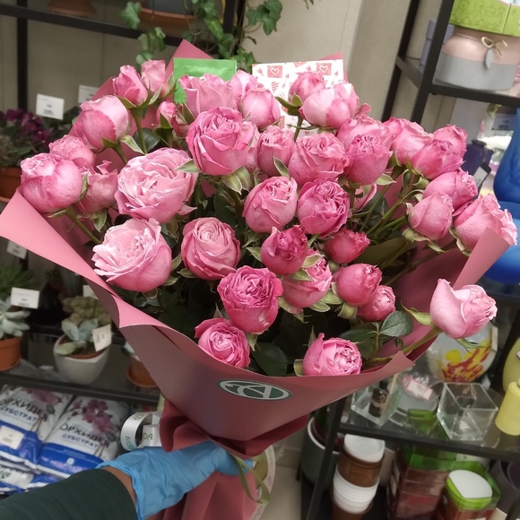 Букет из 9 пионовидных кустовых роз Леди Бомбасти 50 см