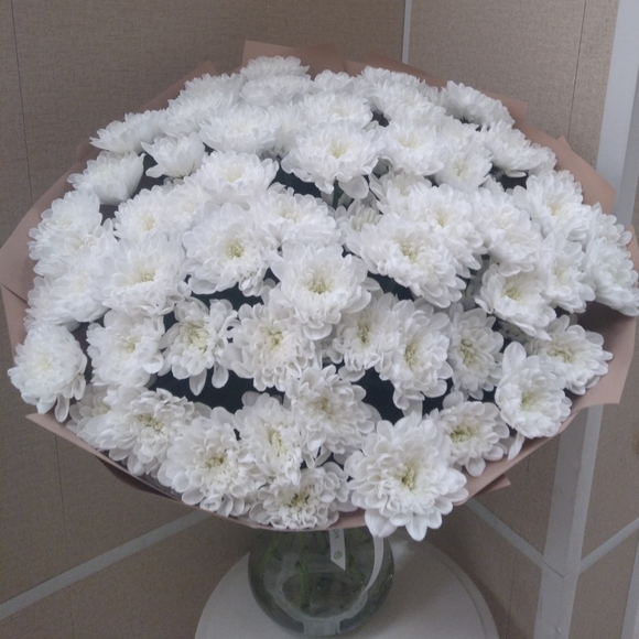 Букет из 15 белых кустовых хризантем