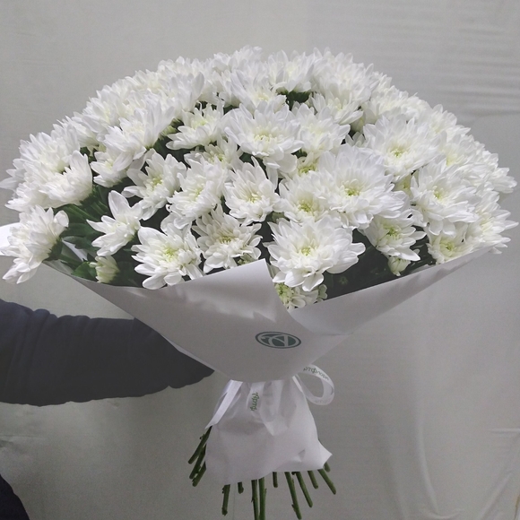 Букет из 25 белых кустовых хризантем