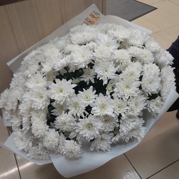 Букет из 25 белых кустовых хризантем