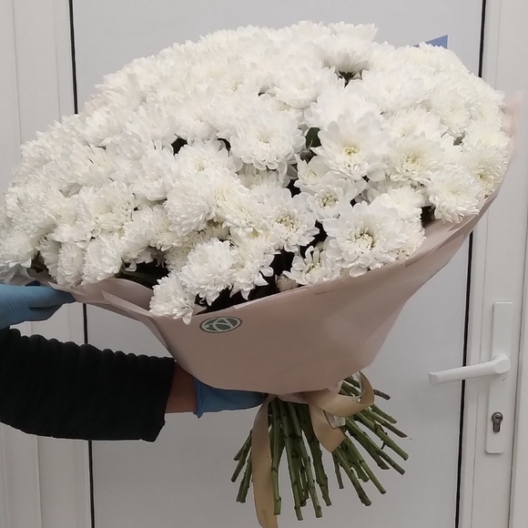 Букет из 25 белых кустовых хризантем