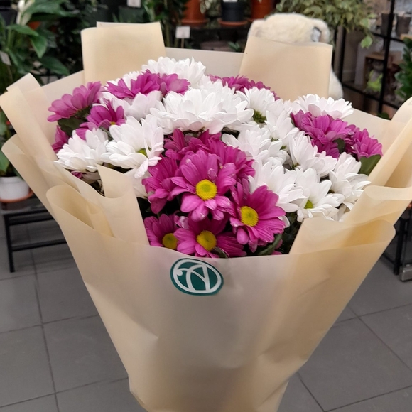 Букет из 9 белых и розовых кустовых хризантем в корейской упаковке