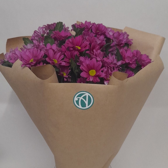 Букет из 9 розовых кустовых хризантем Бакарди (ромашка) в корейской упаковке