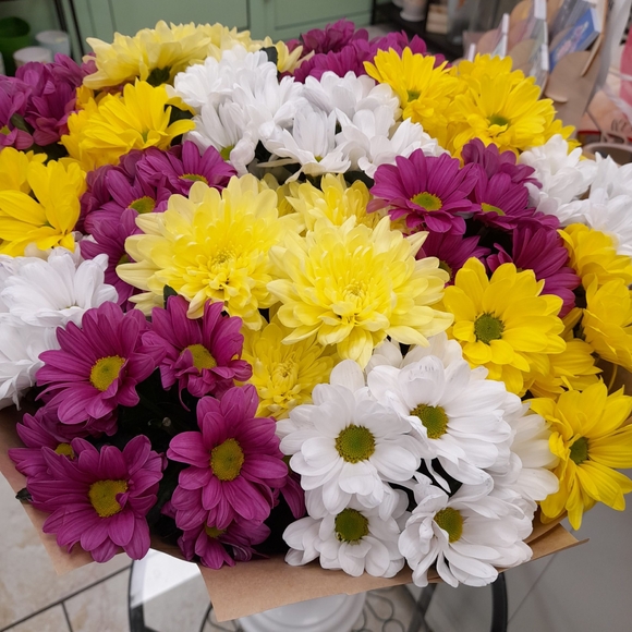 Букет из 15 кустовых хризантем микс