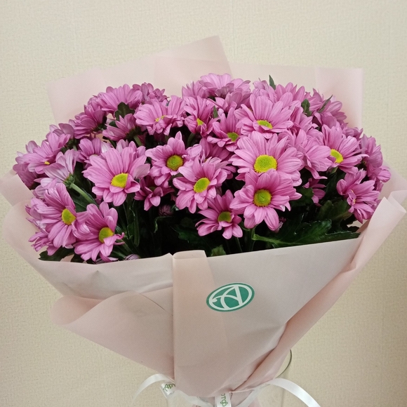 Букет из 9 розовых кустовых хризантем Бакарди (ромашка) в корейской упаковке