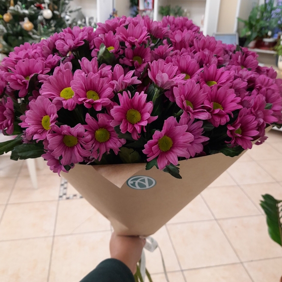 Букет из 9 розовых кустовых хризантем Бакарди (ромашка) в корейской упаковке