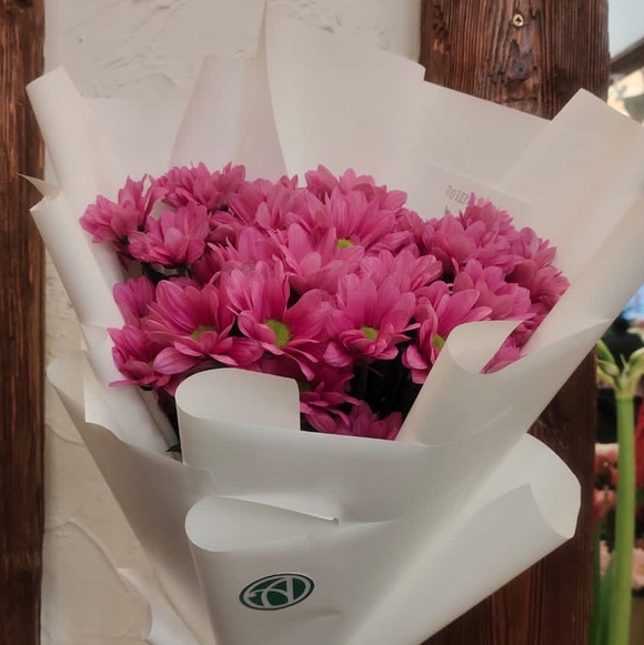 Букет из 5 розовых кустовых хризантем Бакарди (ромашка) в корейской упаковке