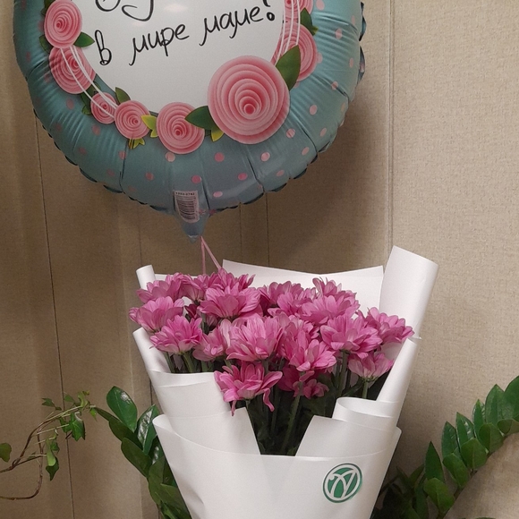 Букет из 5 розовых кустовых хризантем Бакарди (ромашка) в корейской упаковке