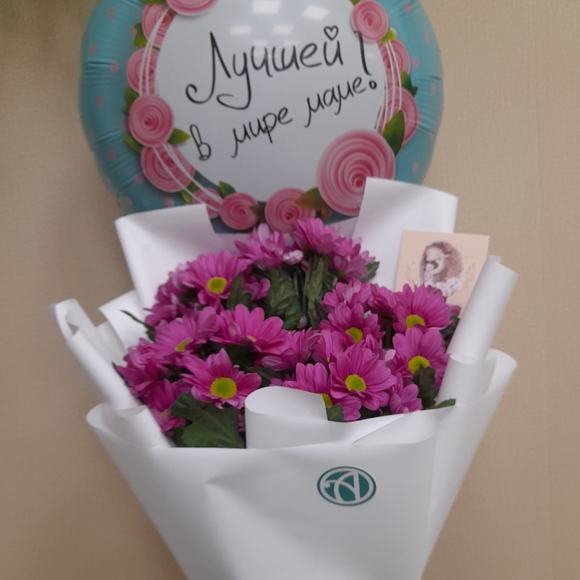 Букет из 5 розовых кустовых хризантем Бакарди (ромашка) в корейской упаковке