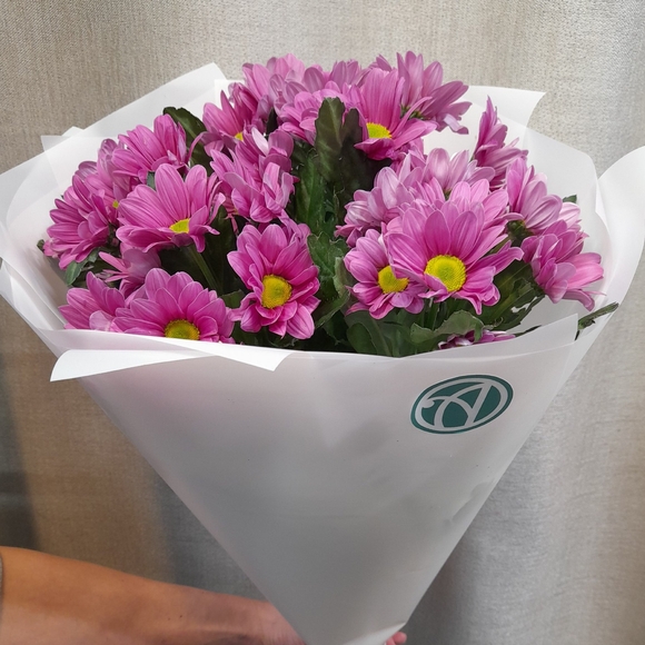Букет из 5 розовых кустовых хризантем Бакарди (ромашка) в корейской упаковке