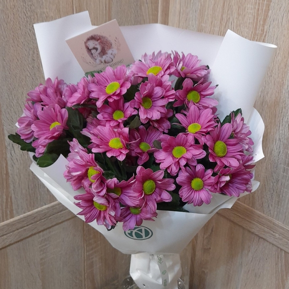 Букет из 5 розовых кустовых хризантем Бакарди (ромашка) в корейской упаковке