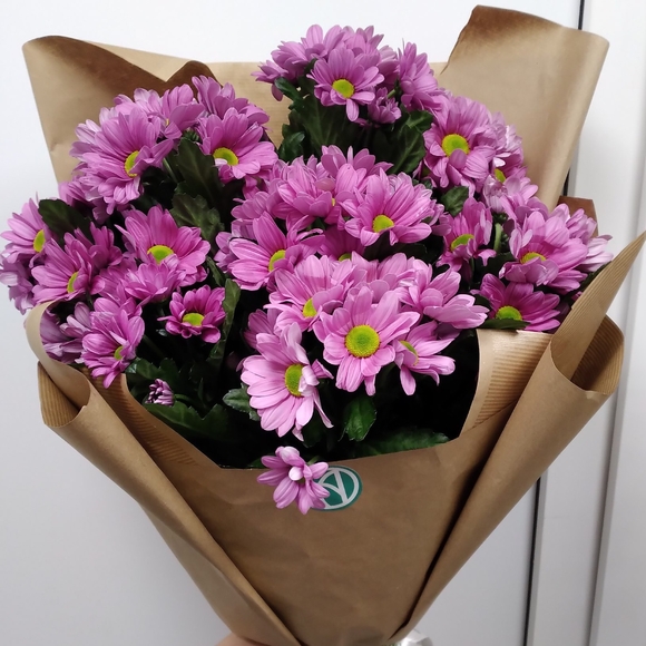 Букет из 9 розовых кустовых хризантем Бакарди (ромашка) в корейской упаковке