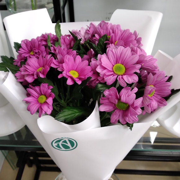 Букет из 5 розовых кустовых хризантем Бакарди (ромашка) в корейской упаковке