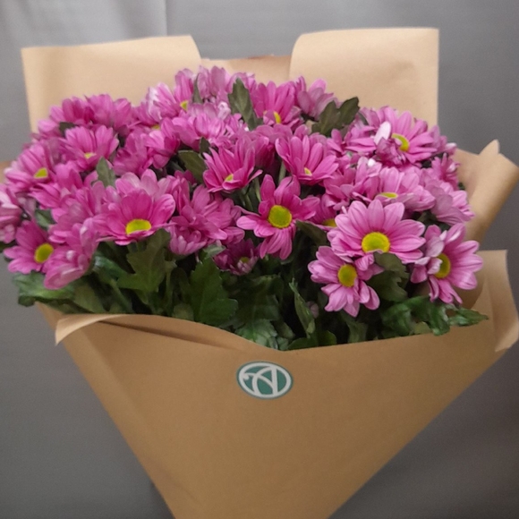 Букет из 9 розовых кустовых хризантем Бакарди (ромашка) в корейской упаковке